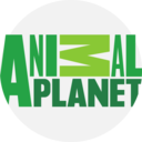 entertainment,tv,brands and logotypes,channel,animal planet ok 